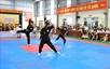 Hung Yen hosts largest-ever traditional martial arts championship